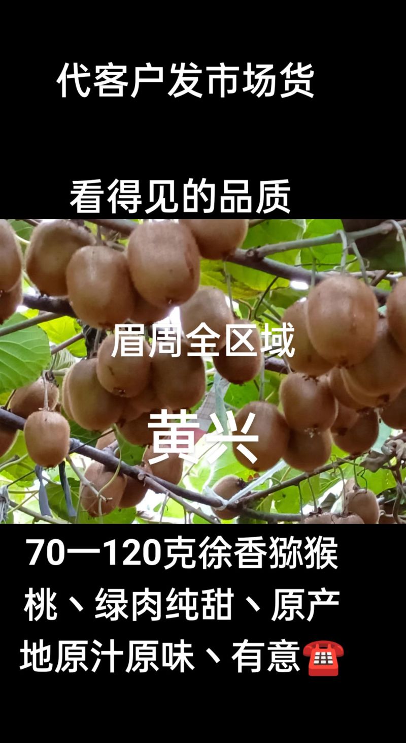 眉县徐香猕猴桃