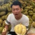 金枕榴莲一手批发价格，a果保5房，坏果包赔