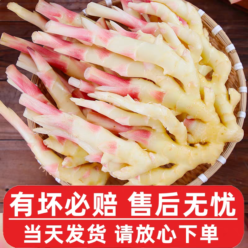 生姜嫩姜产地看货论价一手货源保质保量欢迎订购