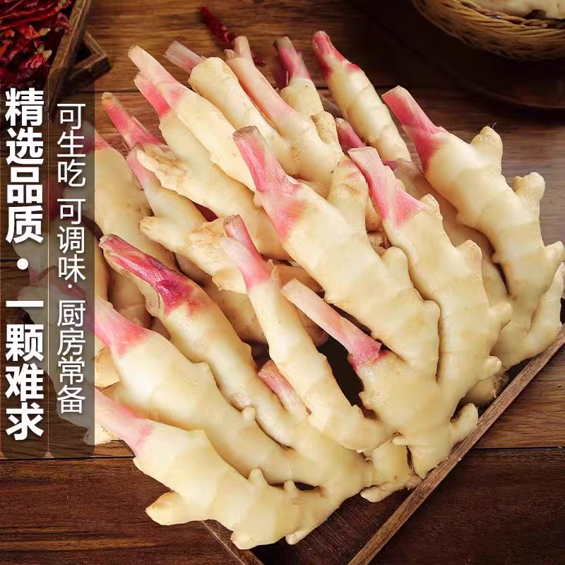 生姜嫩姜产地看货论价一手货源保质保量欢迎订购