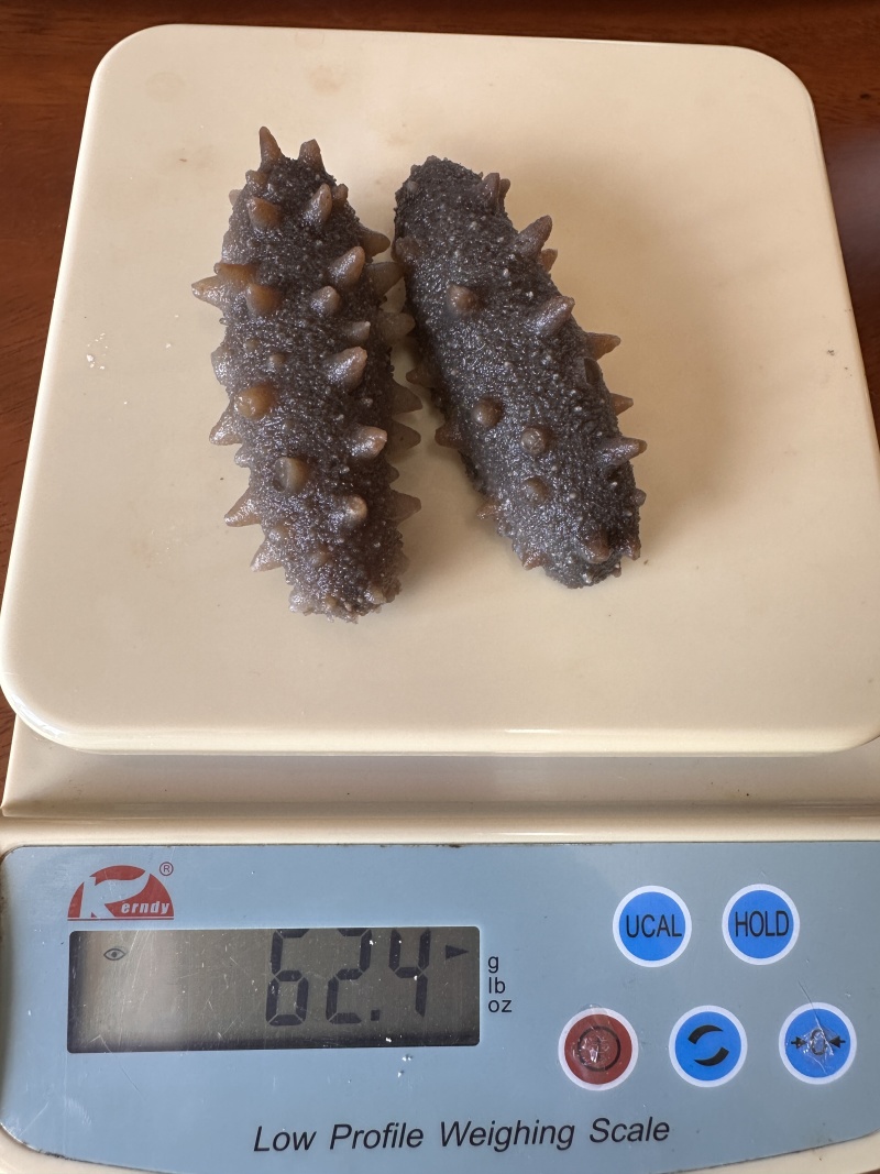 即食辽刺参海参量大从优价格实惠全国发货