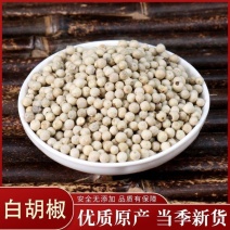 胡椒颗粒新货无硫中药材***诚信经营合作共赢