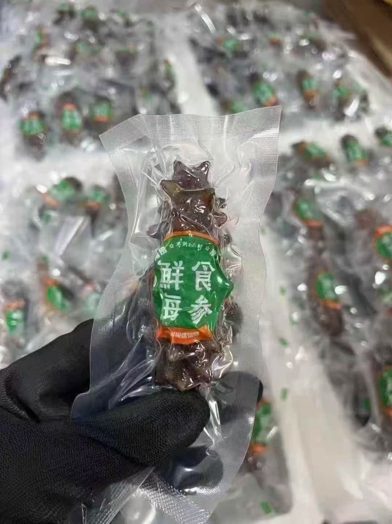 390元100只，好口感鲜食海参。海参界的天花板