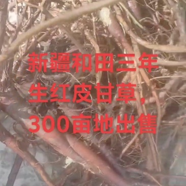 三年红皮甘草