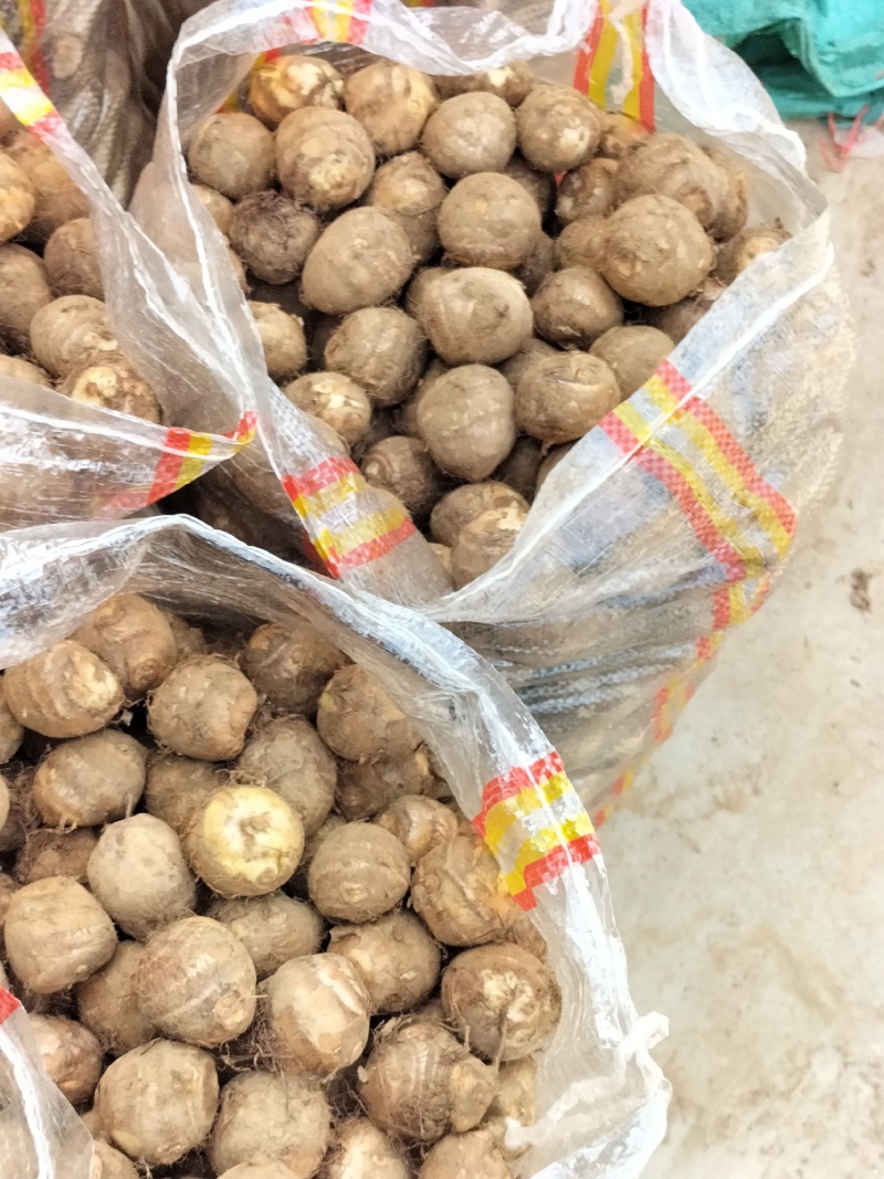 毛芋头豆包8520牛奶芋头*按需分选*常年大量供应
