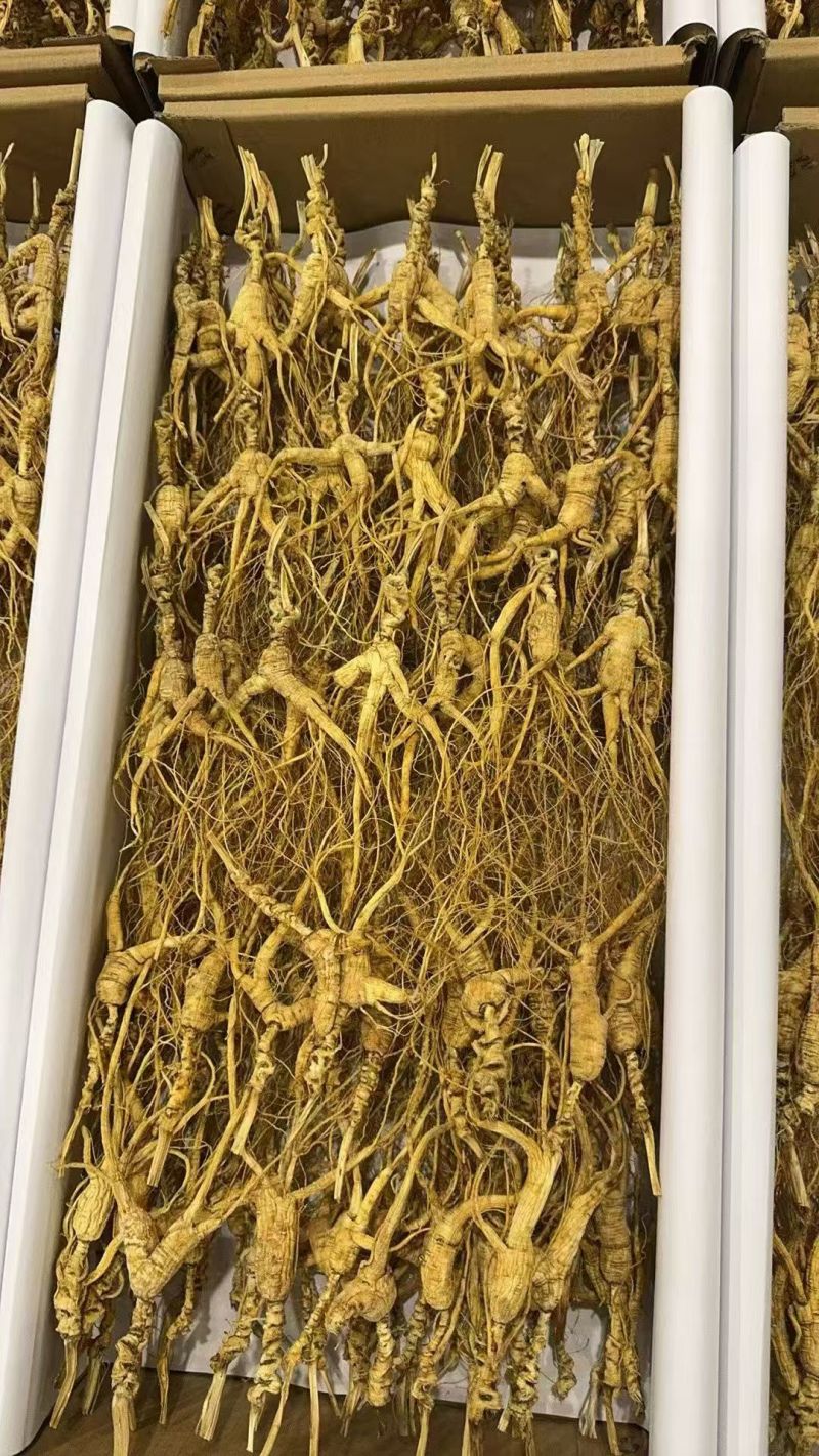 林下山参产地直销，品质可保，质量**，欢迎砸单！