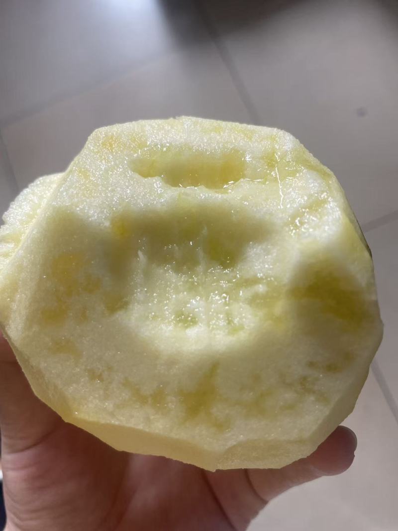 昭通红露苹果
