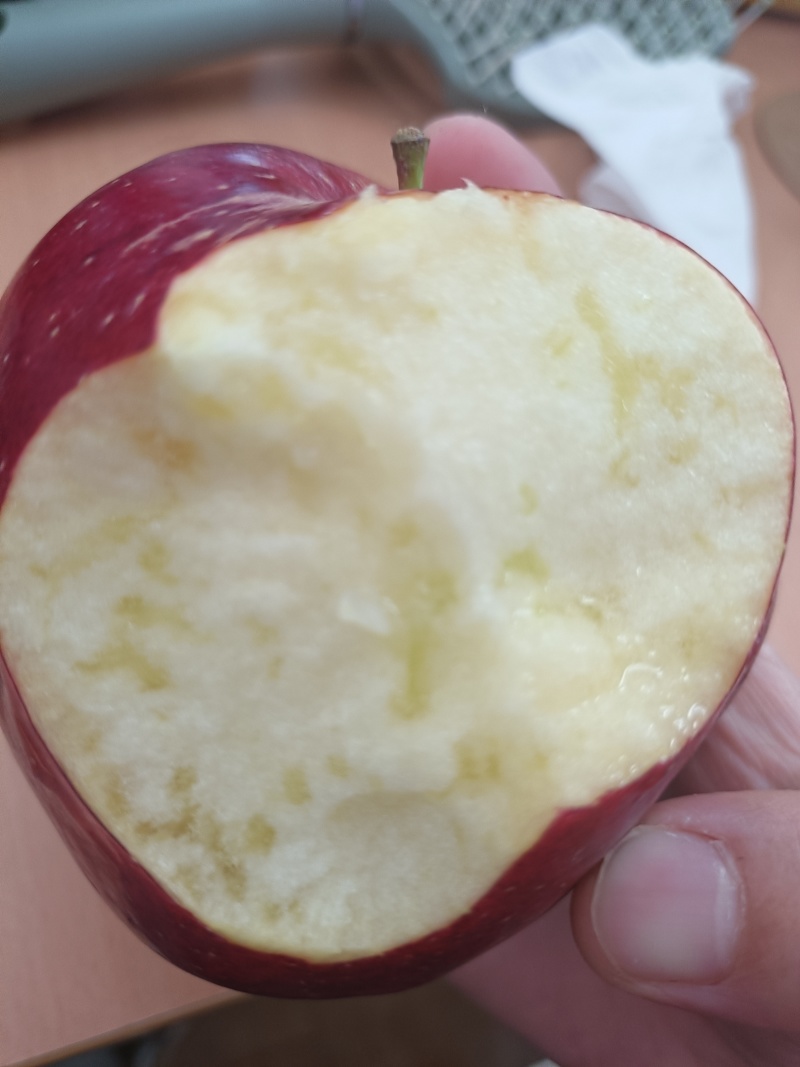 昭通红露苹果