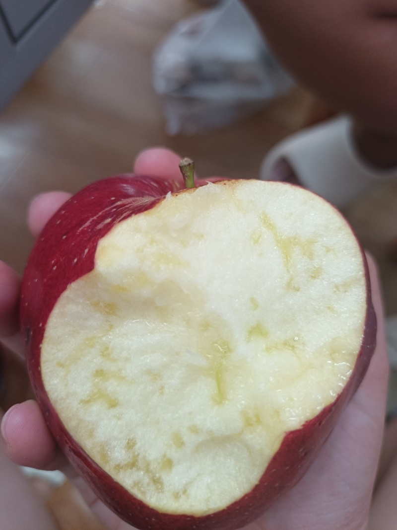 昭通红露苹果