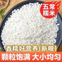 糯米东北糯米江苏糯米规格齐全厂家直销常年供货