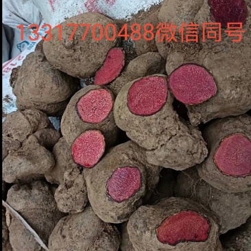 老薯莨