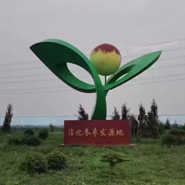 沾化冬枣