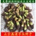 高产正宗正荔浦芋头种子