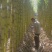 《实力》广西特产黄金甘蔗黄皮甘蔗基地直发对接全国一条龙