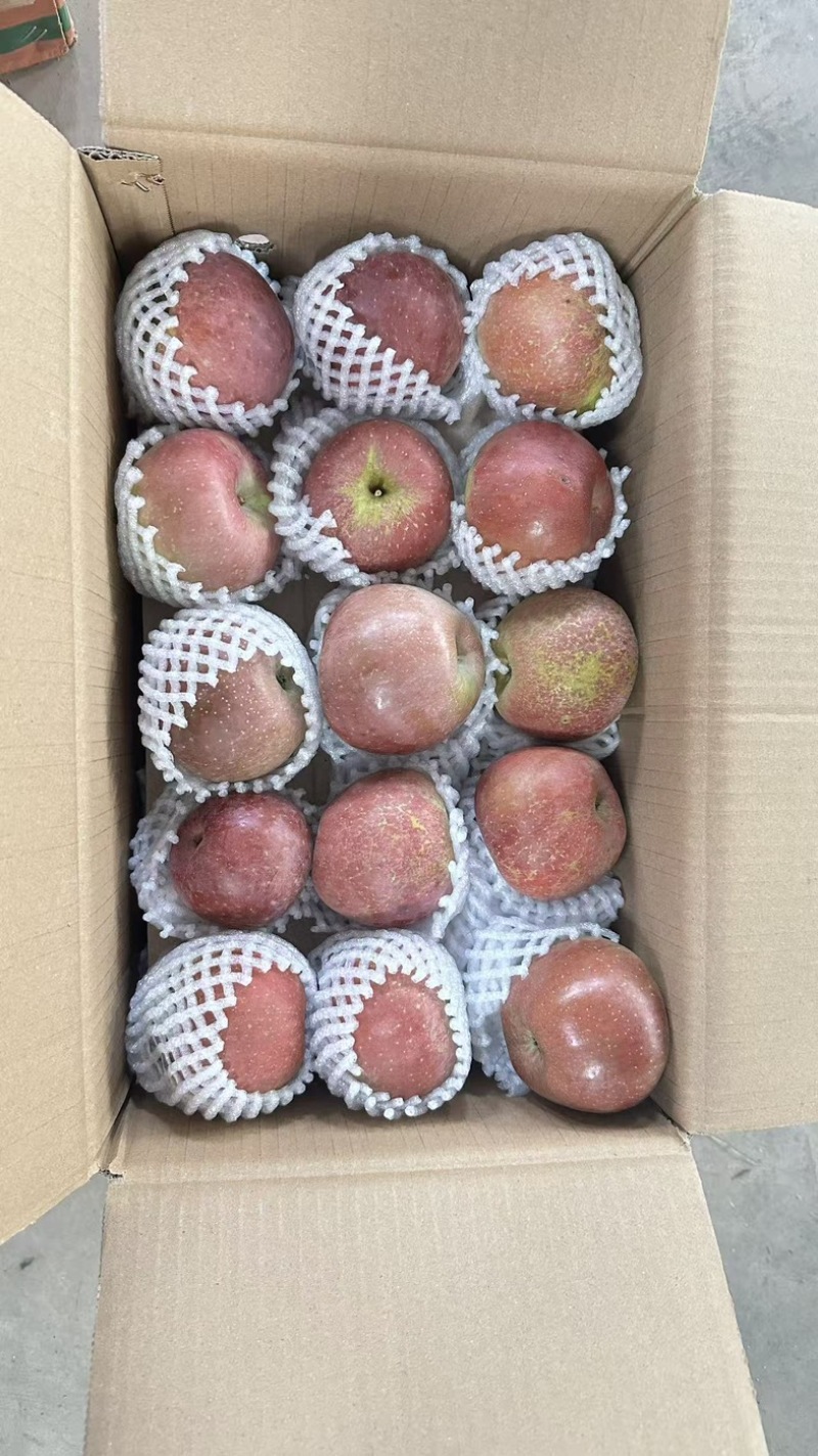 四川雅安汉源苹果丑苹果富士冰糖心苹果脆甜多汁代发批发