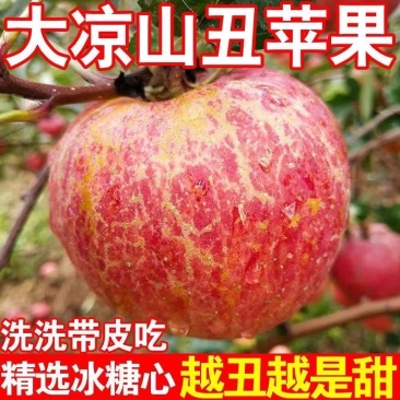 四川雅安汉源苹果丑苹果富士冰糖心苹果脆甜多汁代发批发