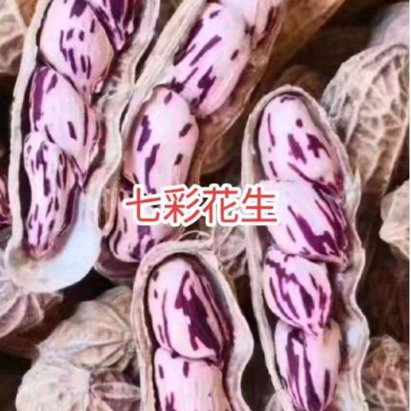 自家种的云南带壳七彩花生