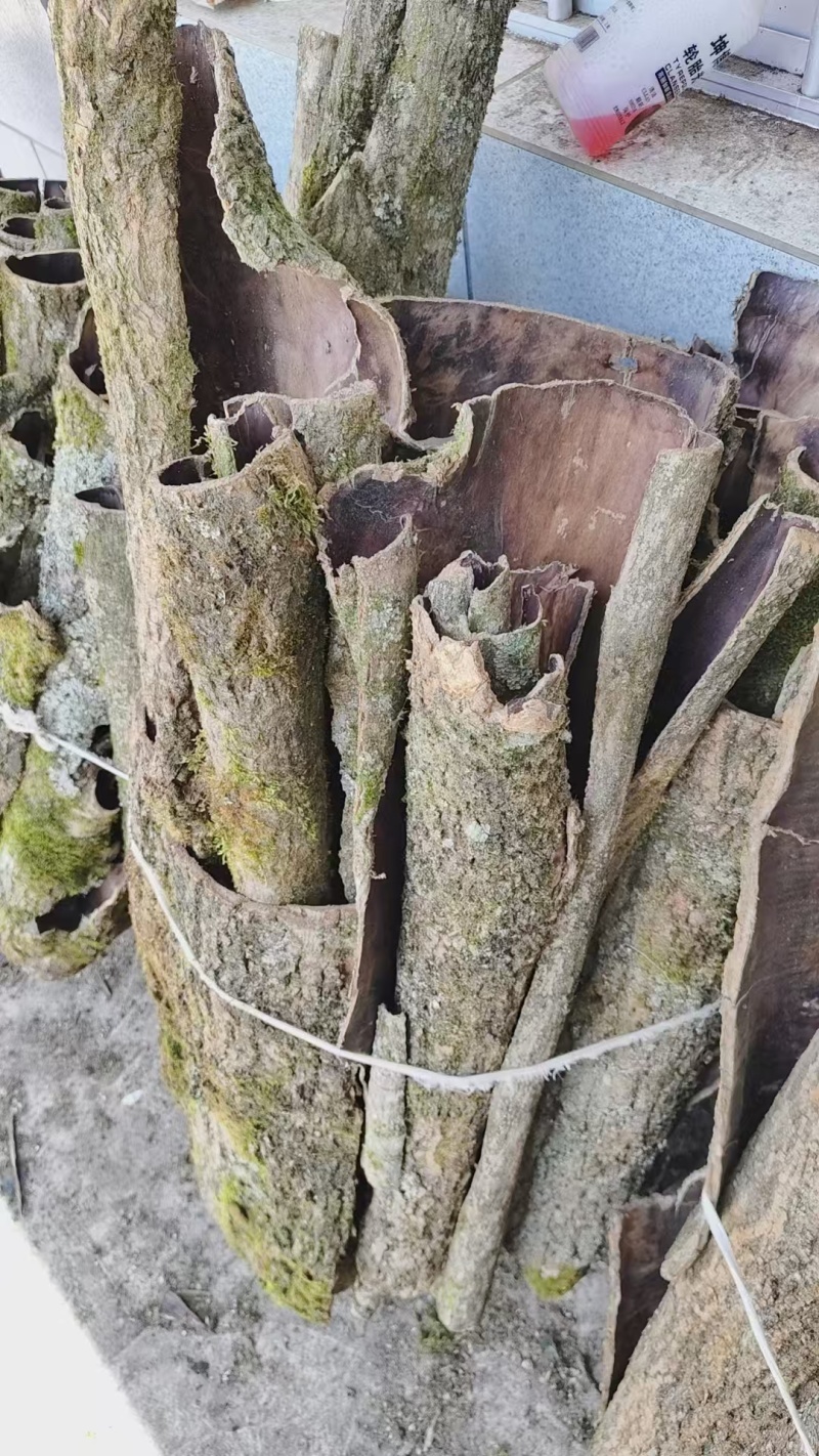 30年杜仲老皮出售，全干发货，需要联系。