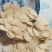 【保真】西洋参中药材饮片500g正品特级花旗参片