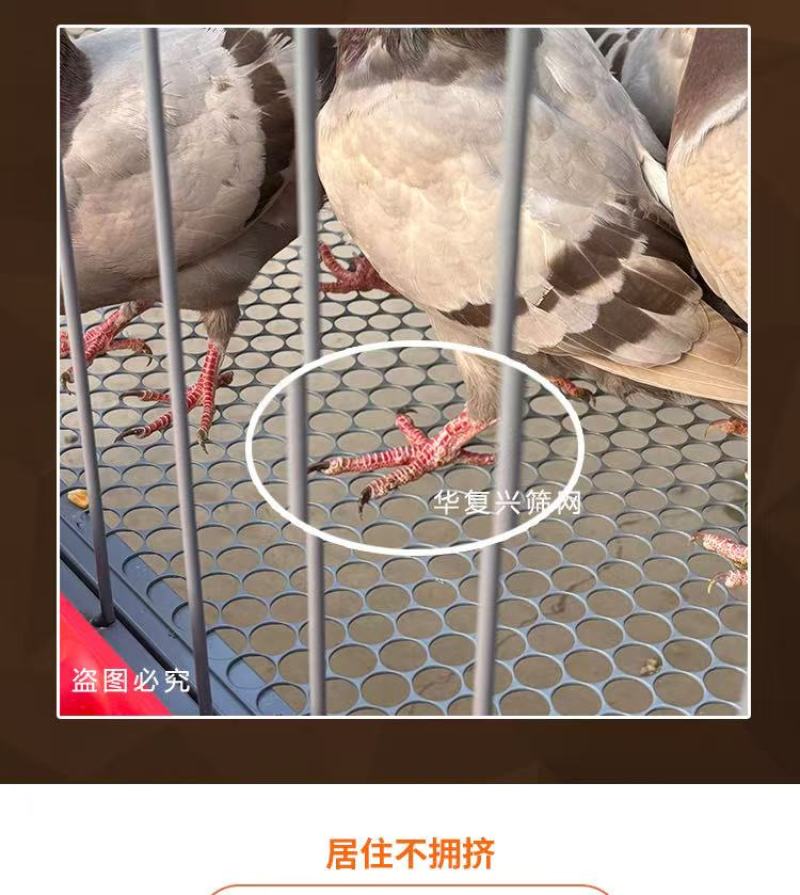 多功能养殖笼