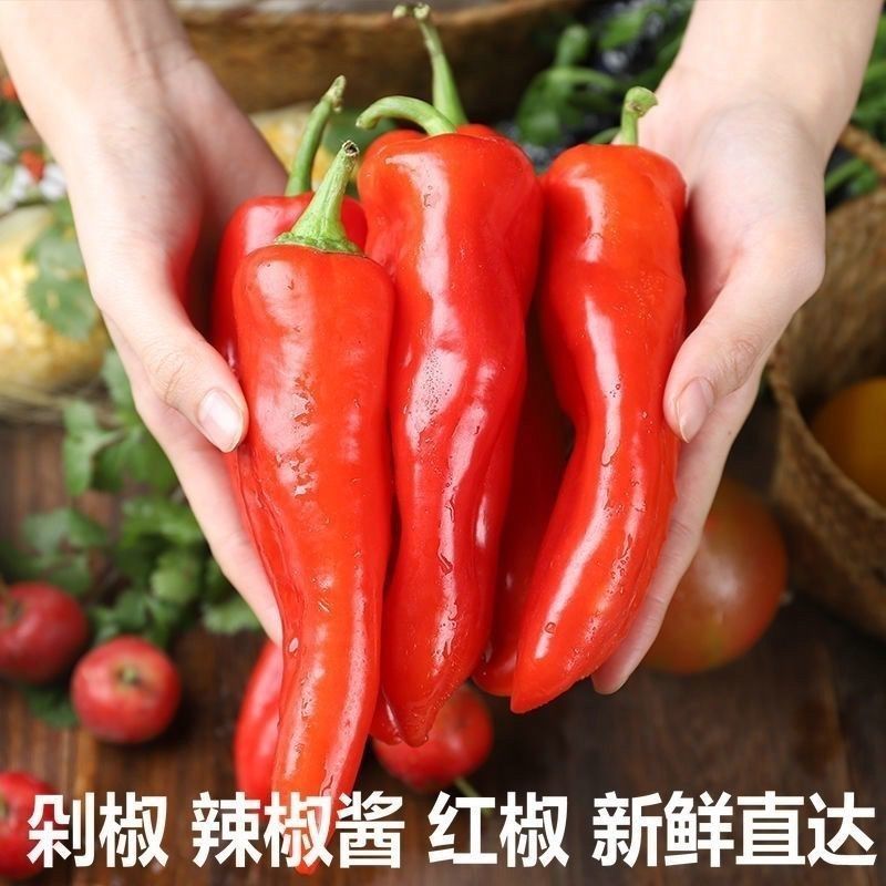山东寿光红泡椒产地直供量大从优支持商超批发市场档口