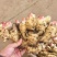 红芽姜鲜姜风干姜大小黄姜生姜按需加工价低