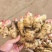 红芽姜鲜姜风干姜大小黄姜生姜按需加工价低