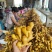 红芽姜鲜姜风干姜大小黄姜生姜按需加工价低