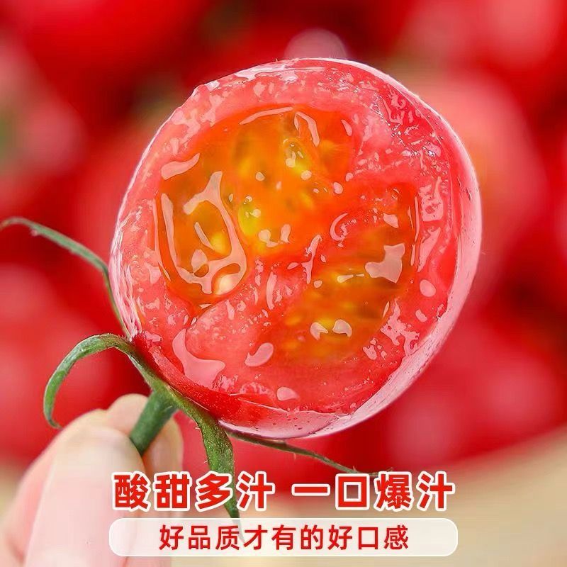千禧圣女果产地直供支持商超批发市场档口欢迎采购