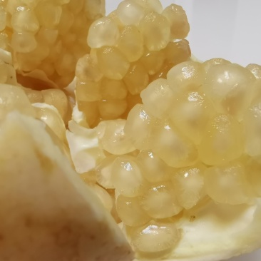 年末优惠处理！怀远白玉玉籽石榴硬籽石榴新鲜当季水果现货