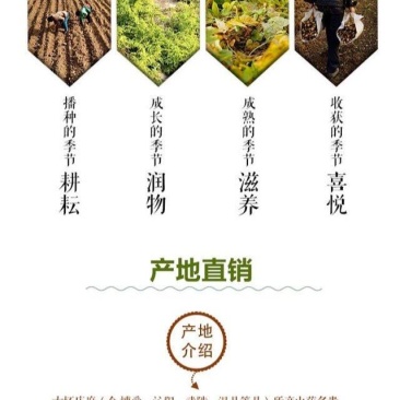 产地直销