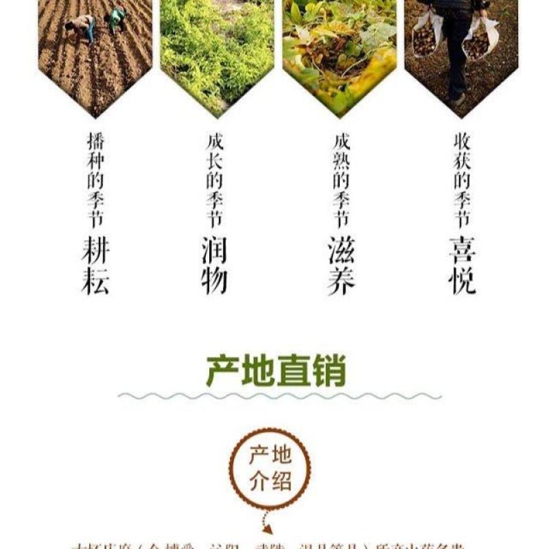 产地直销