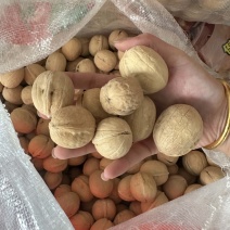 电商用货，质量可靠，