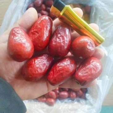 新疆和田大枣，红枣，产地一手货源，货量充足，若羌灰枣。