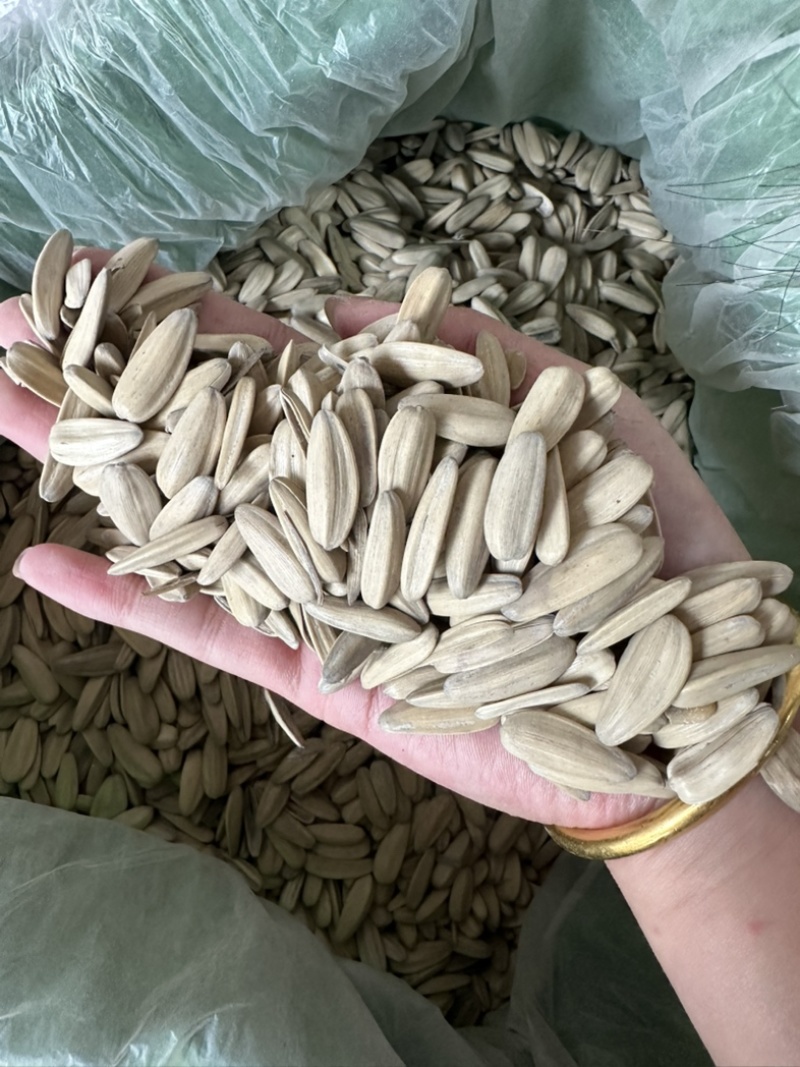 电商打手瓜子量大可谈价格优惠