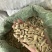 电商打手瓜子量大可谈价格优惠