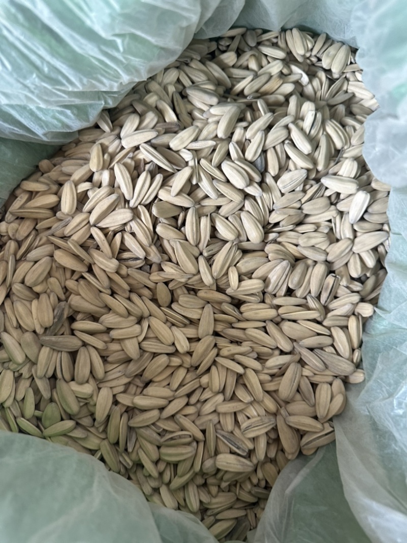电商打手瓜子量大可谈价格优惠