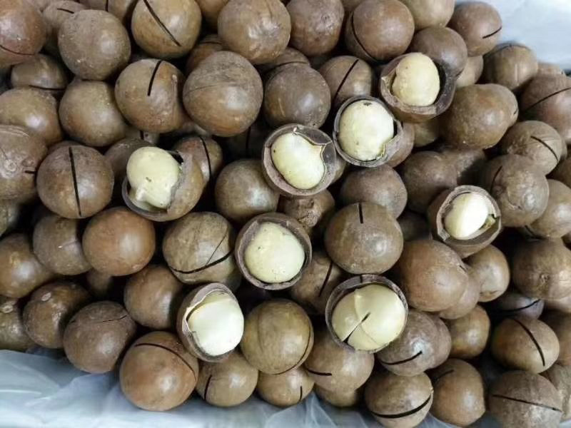 电商夏威夷果低价量大价优