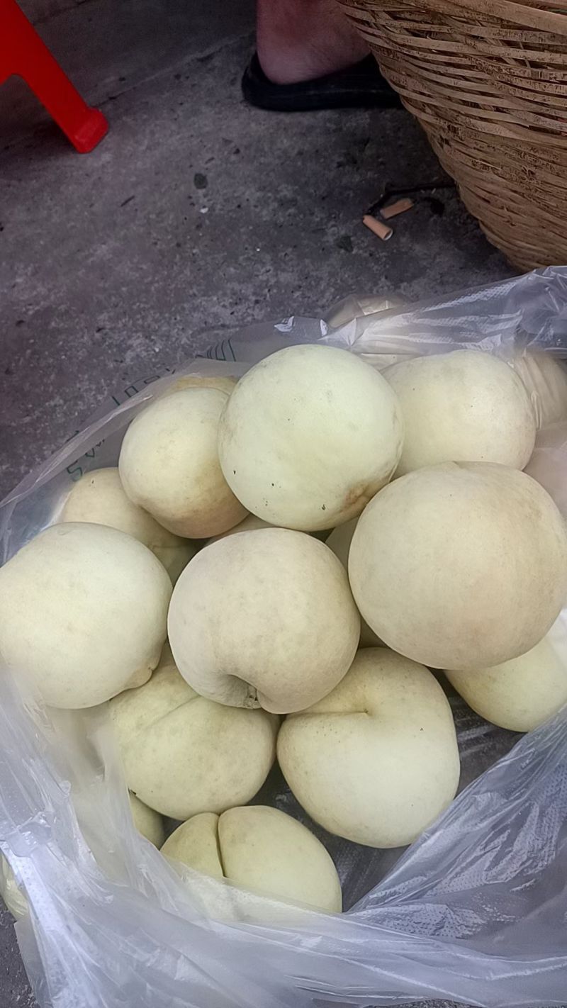 冬桃国庆上市，自家果园种植口感脆甜，有需要老板可以联系我