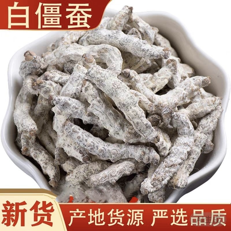 白僵蚕中药材僵蚕干天虫姜蚕僵蚕干可打粉白僵蚕粉