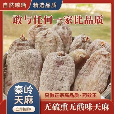 天麻500g陕西秦岭纯干货中药材天麻整个