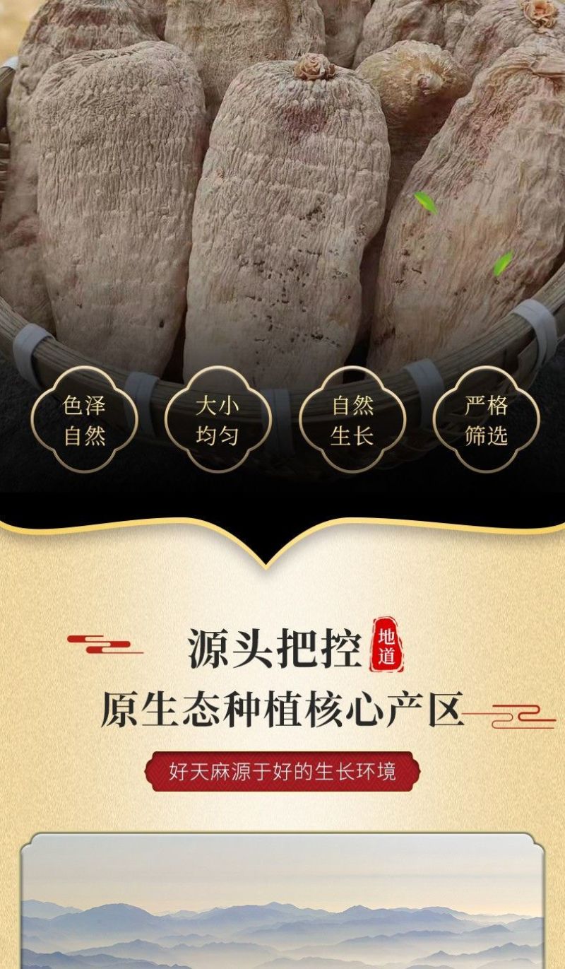天麻500g陕西秦岭纯干货中药材天麻整个