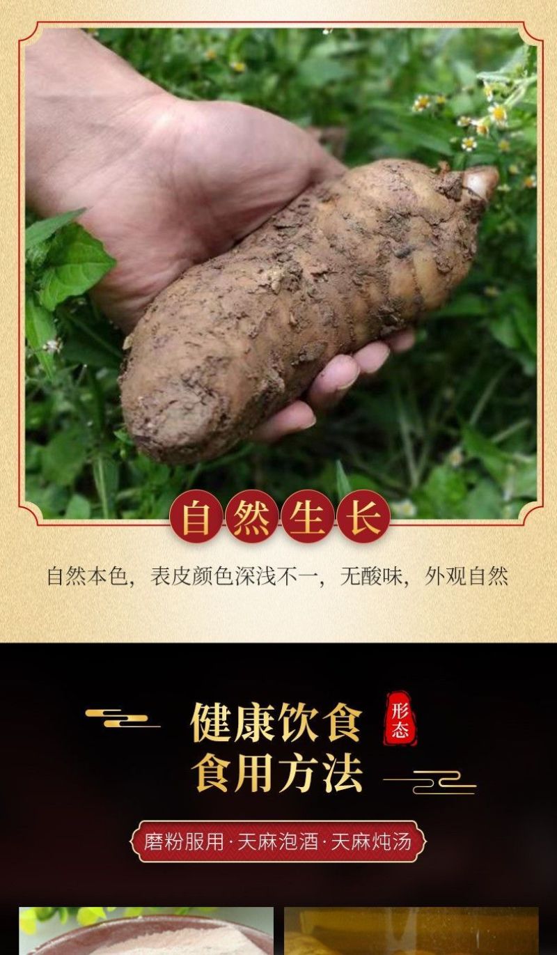 天麻500g陕西秦岭纯干货中药材天麻整个
