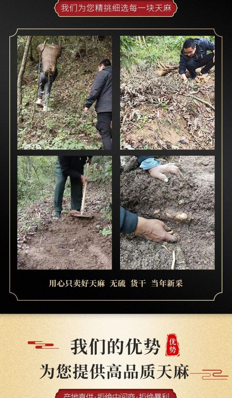 天麻500g陕西秦岭纯干货中药材天麻整个