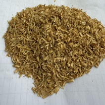 工厂一手货源，新稻壳，现磨现卖。