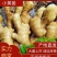 云南新鲜小黄姜现买现挖基地直发物美价优支持当地考察全国发
