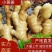 云南新鲜小黄姜现买现挖基地直发物美价优支持当地考察全国发