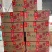 山西大枣大量有货基地直供品质优现摘现发品质优欢迎咨询