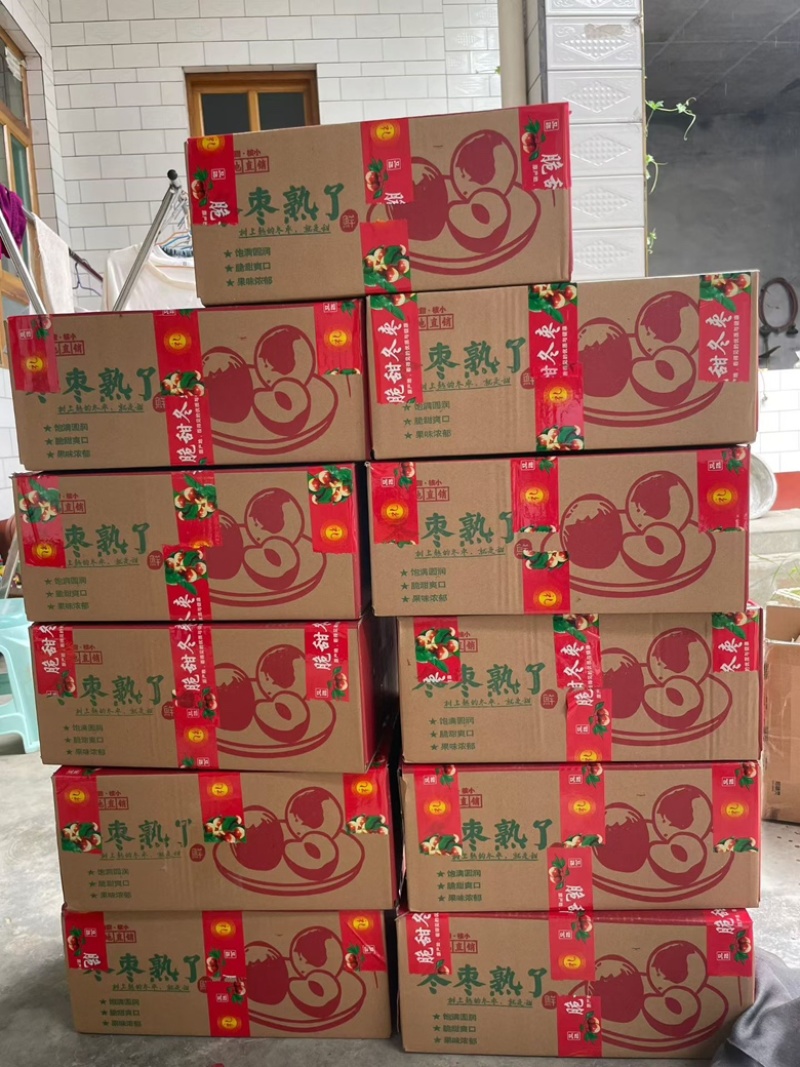 山西大枣大量有货基地直供品质优现摘现发品质优欢迎咨询
