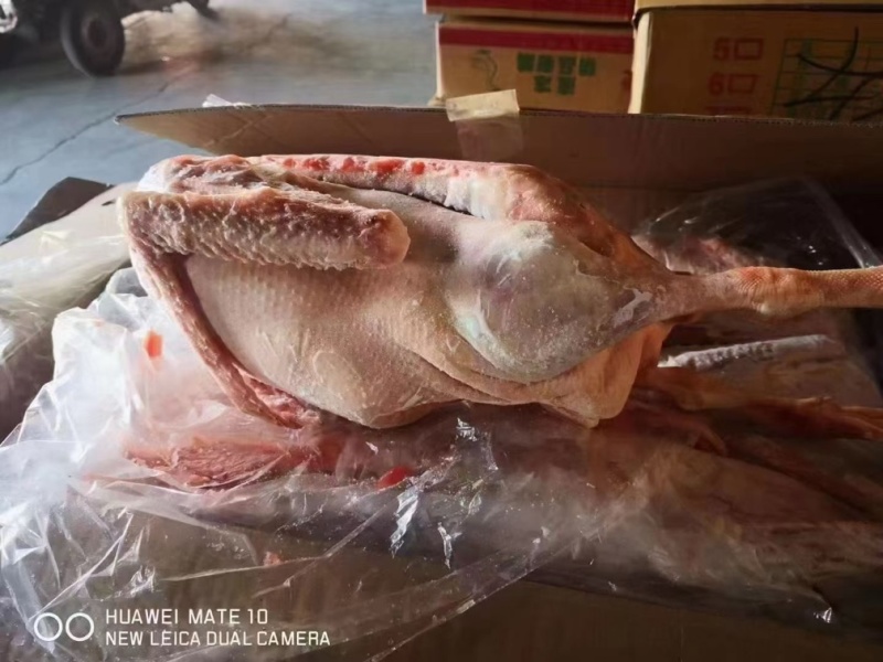 老鹅草鹅都有，各种规格，纯干货一件也是批发价格，证件全